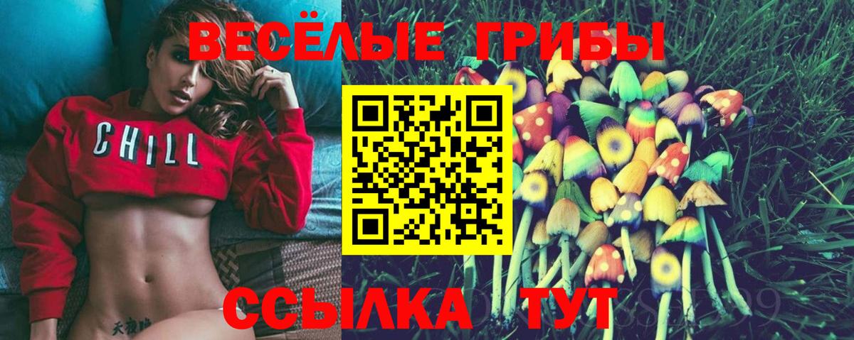 Узловая  Псилоцибиновые грибы Psilocybine cubensis  как найти наркотики  Вход с VPN 